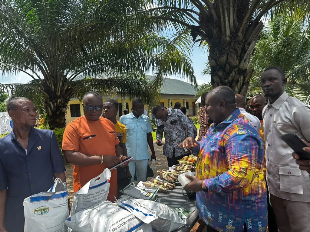 KLEX Investments Group – Building Sustainable Businesses Across Africa